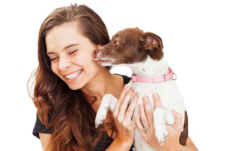 3 Reasons to choose a Pet Sitter instead of putting your pet in a kennel