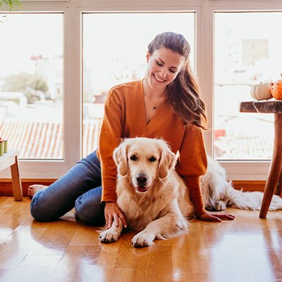 Day Stay Companionship