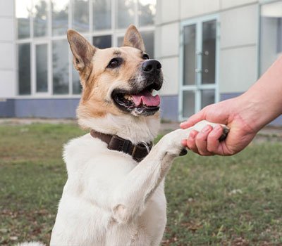 3. Meet and greet time